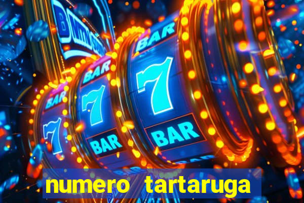 numero tartaruga jogo do bicho